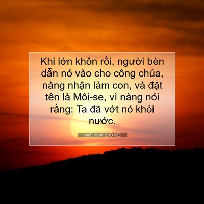 Picture 07 - Xuất Hành 2:10 VIE - Khi lớn khôn rồi, người bèn dẫn nó - Bible Verse Picture