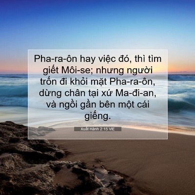 Picture 07 - Xuất Hành 2:15 VIE - Pha-ra-ôn hay việc đó, thì tìm giết - Bible Verse Picture