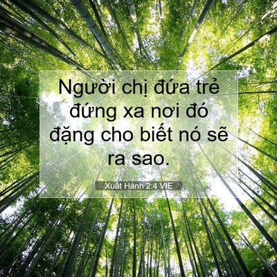 Picture 07 - Xuất Hành 2:4 VIE - Người chị đứa trẻ đứng xa nơi đó - Bible Verse Picture