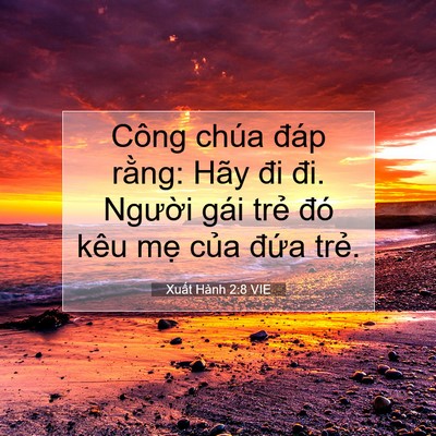 Picture 07 - Xuất Hành 2:8 VIE - Công chúa đáp rằng: Hãy đi đi. Người - Bible Verse Picture