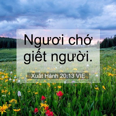 Picture 07 - Xuất Hành 20:13 VIE - Ngươi chớ giết - Bible Verse Picture