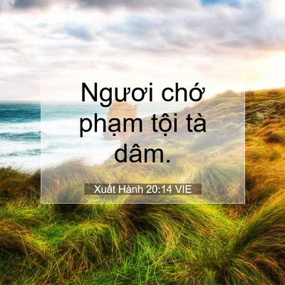 Picture 07 - Xuất Hành 20:14 VIE - Ngươi chớ phạm tội tà - Bible Verse Picture