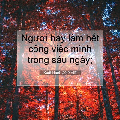 Picture 07 - Xuất Hành 20:9 VIE - Ngươi hãy làm hết công việc mình trong - Bible Verse Picture