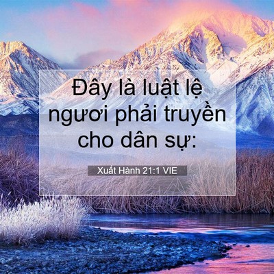 Picture 07 - Xuất Hành 21:1 VIE - Đây là luật lệ ngươi phải truyền cho - Bible Verse Picture