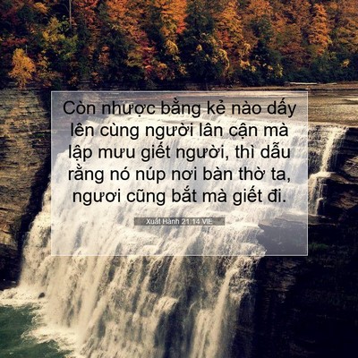 Picture 07 - Xuất Hành 21:14 VIE - Còn nhược bằng kẻ nào dấy lên cùng - Bible Verse Picture