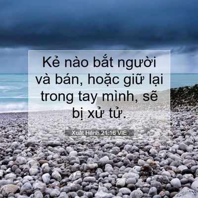 Picture 07 - Xuất Hành 21:16 VIE - Kẻ nào bắt người và bán, hoặc giữ - Bible Verse Picture