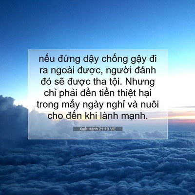 Picture 07 - Xuất Hành 21:19 VIE - nếu đứng dậy chống gậy đi ra ngoài - Bible Verse Picture