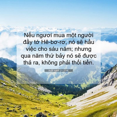 Picture 07 - Xuất Hành 21:2 VIE - Nếu ngươi mua một người đầy tớ - Bible Verse Picture