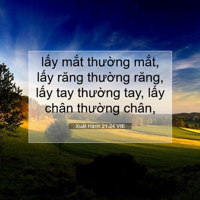 Picture 07 - Xuất Hành 21:24 VIE - lấy mắt thường mắt, lấy răng - Bible Verse Picture
