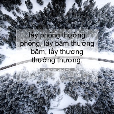 Picture 07 - Xuất Hành 21:25 VIE - lấy phỏng thường phỏng, lấy bầm - Bible Verse Picture