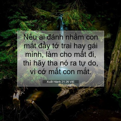 Picture 07 - Xuất Hành 21:26 VIE - Nếu ai đánh nhằm con mắt đầy tớ trai - Bible Verse Picture
