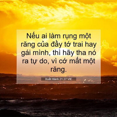 Picture 07 - Xuất Hành 21:27 VIE - Nếu ai làm rụng một răng của đầy - Bible Verse Picture