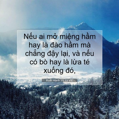 Picture 07 - Xuất Hành 21:33 VIE - Nếu ai mở miệng hầm hay là đào hầm - Bible Verse Picture