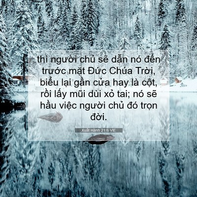 Picture 07 - Xuất Hành 21:6 VIE - thì người chủ sẽ dẫn nó đến - Bible Verse Picture