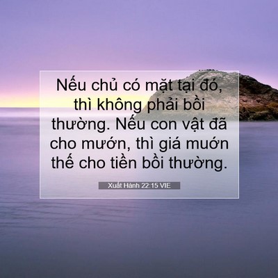 Picture 07 - Xuất Hành 22:15 VIE - Nếu chủ có mặt tại đó, thì không - Bible Verse Picture
