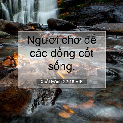 Picture 07 - Xuất Hành 22:18 VIE - Ngươi chớ để các đồng cốt - Bible Verse Picture