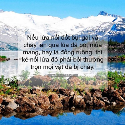 Picture 07 - Xuất Hành 22:6 VIE - Nếu lửa nổi đốt bụi gai và cháy lan - Bible Verse Picture