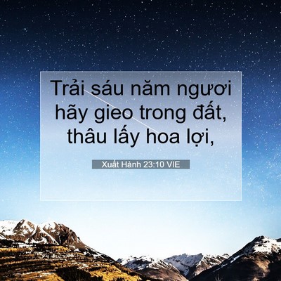 Picture 07 - Xuất Hành 23:10 VIE - Trải sáu năm ngươi hãy gieo trong đất, - Bible Verse Picture