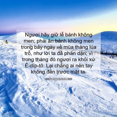Picture 07 - Xuất Hành 23:15 VIE - Ngươi hãy giữ lễ bánh không men; phải - Bible Verse Picture