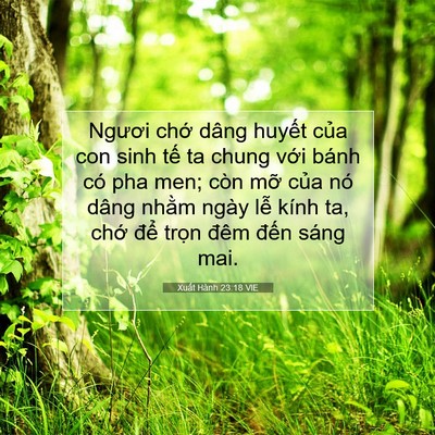 Picture 07 - Xuất Hành 23:18 VIE - Ngươi chớ dâng huyết của con sinh tế - Bible Verse Picture