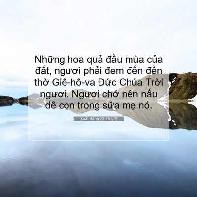 Picture 07 - Xuất Hành 23:19 VIE - Những hoa quả đầu mùa của đất, - Bible Verse Picture