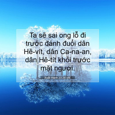 Picture 07 - Xuất Hành 23:28 VIE - Ta sẽ sai ong lỗ đi trước đánh đuổi - Bible Verse Picture