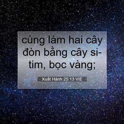 Picture 07 - Xuất Hành 25:13 VIE - cùng làm hai cây đòn bằng cây si-tim, - Bible Verse Picture