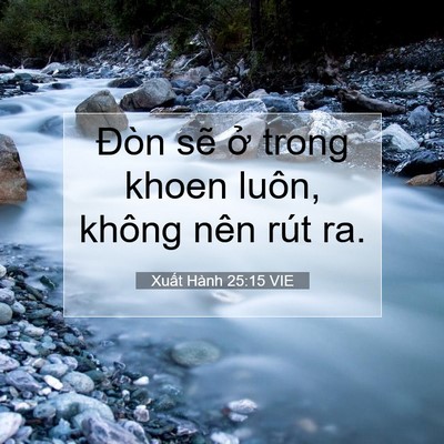 Picture 07 - Xuất Hành 25:15 VIE - Đòn sẽ ở trong khoen luôn, không nên - Bible Verse Picture