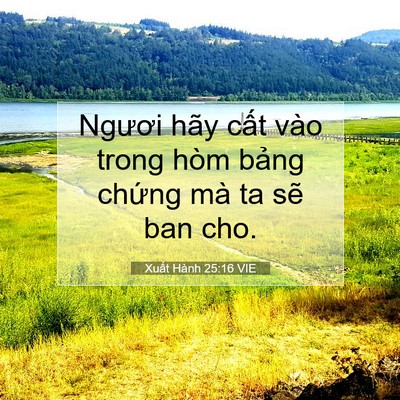 Picture 07 - Xuất Hành 25:16 VIE - Ngươi hãy cất vào trong hòm bảng chứng - Bible Verse Picture