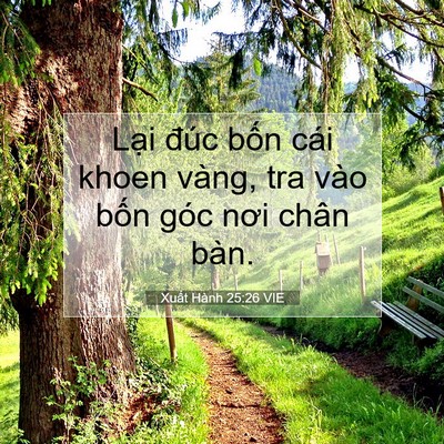 Picture 07 - Xuất Hành 25:26 VIE - Lại đúc bốn cái khoen vàng, tra vào - Bible Verse Picture