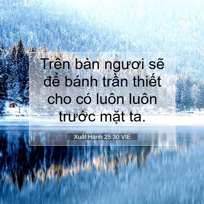 Picture 07 - Xuất Hành 25:30 VIE - Trên bàn ngươi sẽ để bánh trần - Bible Verse Picture
