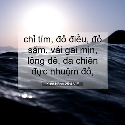Picture 07 - Xuất Hành 25:4 VIE - chỉ tím, đỏ điều, đỏ sặm, vải gai - Bible Verse Picture