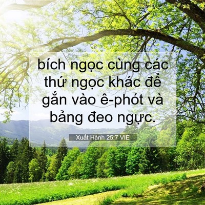 Picture 07 - Xuất Hành 25:7 VIE - bích ngọc cùng các thứ ngọc khác để - Bible Verse Picture