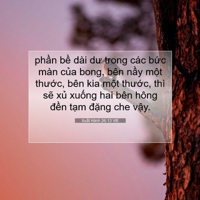 Picture 07 - Xuất Hành 26:13 VIE - phần bề dài dư trong các bức màn của - Bible Verse Picture