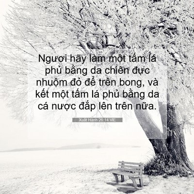 Picture 07 - Xuất Hành 26:14 VIE - Ngươi hãy làm một tấm lá phủ bằng da - Bible Verse Picture