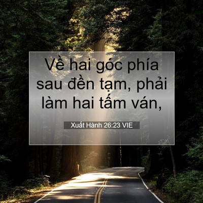 Picture 07 - Xuất Hành 26:23 VIE - Về hai góc phía sau đền tạm, phải làm - Bible Verse Picture