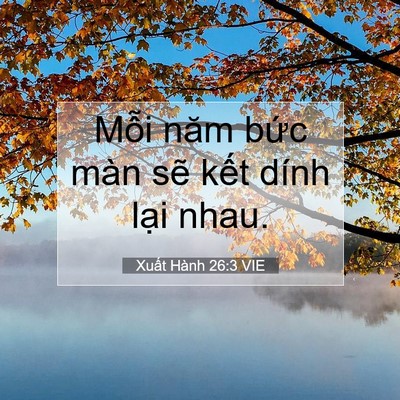 Picture 07 - Xuất Hành 26:3 VIE - Mỗi năm bức màn sẽ kết dính lại - Bible Verse Picture