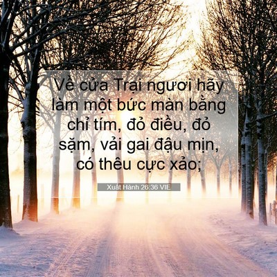 Picture 07 - Xuất Hành 26:36 VIE - Về cửa Trại ngươi hãy làm một bức - Bible Verse Picture