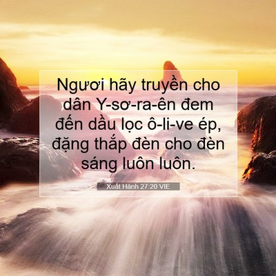 Picture 07 - Xuất Hành 27:20 VIE - Ngươi hãy truyền cho dân Y-sơ-ra-ên đem - Bible Verse Picture