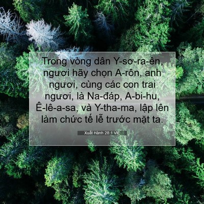 Picture 07 - Xuất Hành 28:1 VIE - Trong vòng dân Y-sơ-ra-ên, ngươi hãy - Bible Verse Picture