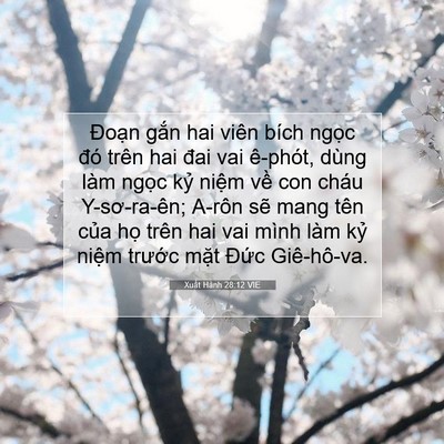 Picture 07 - Xuất Hành 28:12 VIE - Đoạn gắn hai viên bích ngọc đó trên - Bible Verse Picture