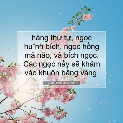 Picture 07 - Xuất Hành 28:20 VIE - hàng thứ tư, ngọc hu”nh bích, ngọc - Bible Verse Picture