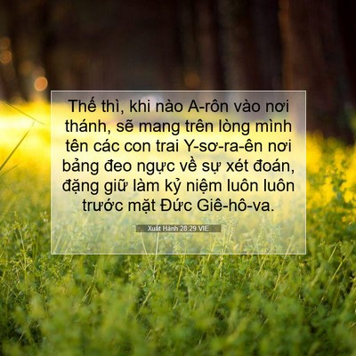 Picture 07 - Xuất Hành 28:29 VIE - Thế thì, khi nào A-rôn vào nơi thánh, - Bible Verse Picture