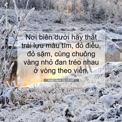 Picture 07 - Xuất Hành 28:33 VIE - Nơi biên dưới hãy thắt trái lựu màu - Bible Verse Picture