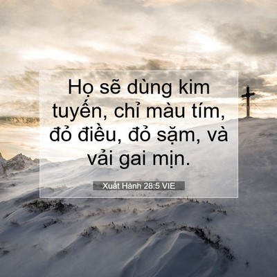 Picture 07 - Xuất Hành 28:5 VIE - Họ sẽ dùng kim tuyến, chỉ màu tím, - Bible Verse Picture