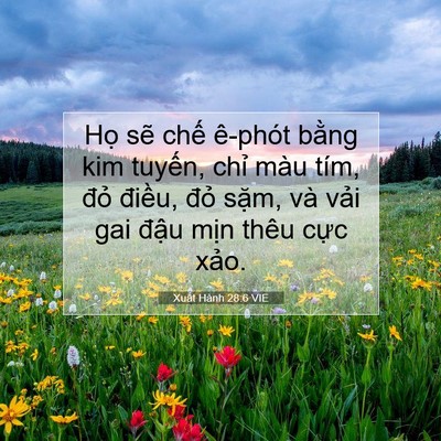 Picture 07 - Xuất Hành 28:6 VIE - Họ sẽ chế ê-phót bằng kim tuyến, - Bible Verse Picture
