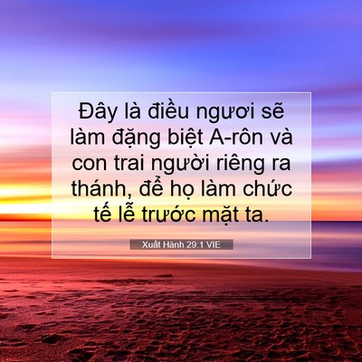 Picture 07 - Xuất Hành 29:1 VIE - Đây là điều ngươi sẽ làm đặng - Bible Verse Picture