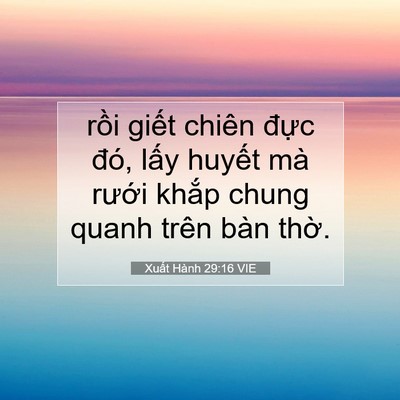 Picture 07 - Xuất Hành 29:16 VIE - rồi giết chiên đực đó, lấy huyết - Bible Verse Picture