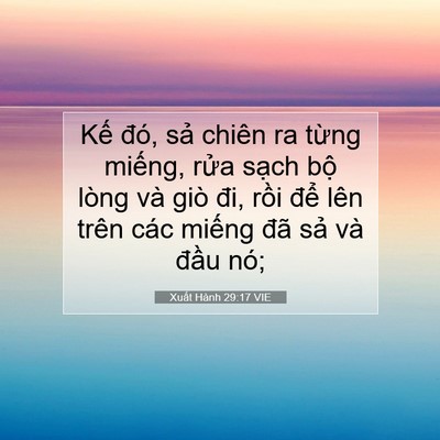 Picture 07 - Xuất Hành 29:17 VIE - Kế đó, sả chiên ra từng miếng, rửa - Bible Verse Picture