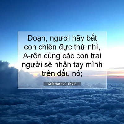 Picture 07 - Xuất Hành 29:19 VIE - Đoạn, ngươi hãy bắt con chiên đực - Bible Verse Picture